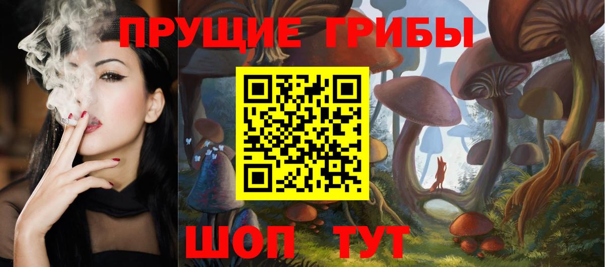 Галлюциногенные грибы Psilocybine cubensis Моздок